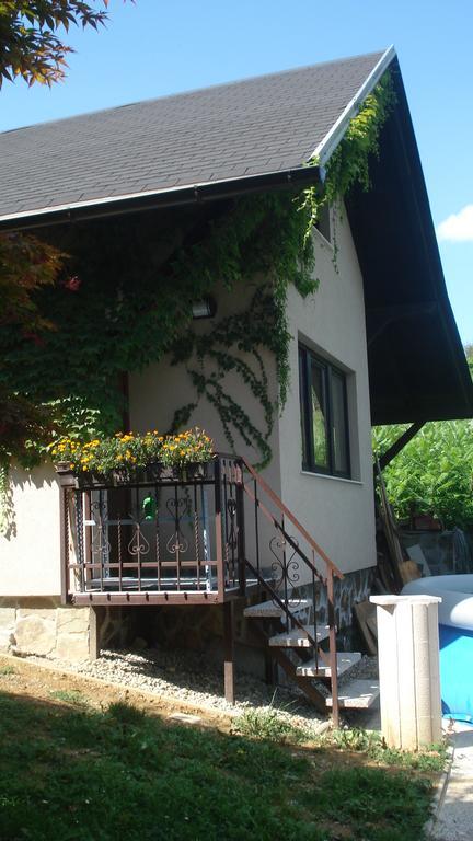 Wine & Nature & Tour Zgornji Leskovec Exterior foto