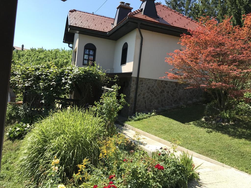Wine & Nature & Tour Zgornji Leskovec Exterior foto