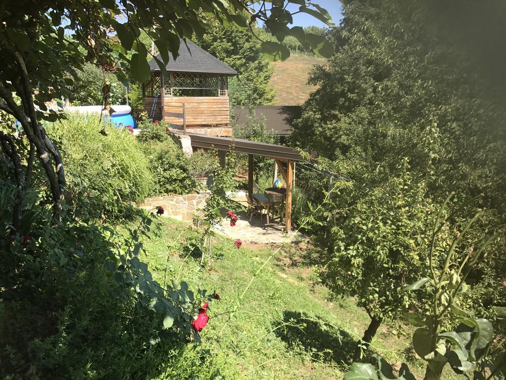 Wine & Nature & Tour Zgornji Leskovec Exterior foto